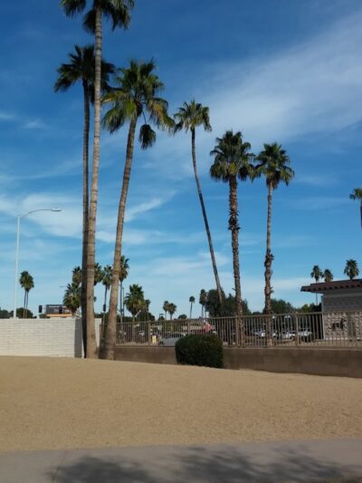 Duffeeland Dog Park *Key Required* - Sun City, AZ