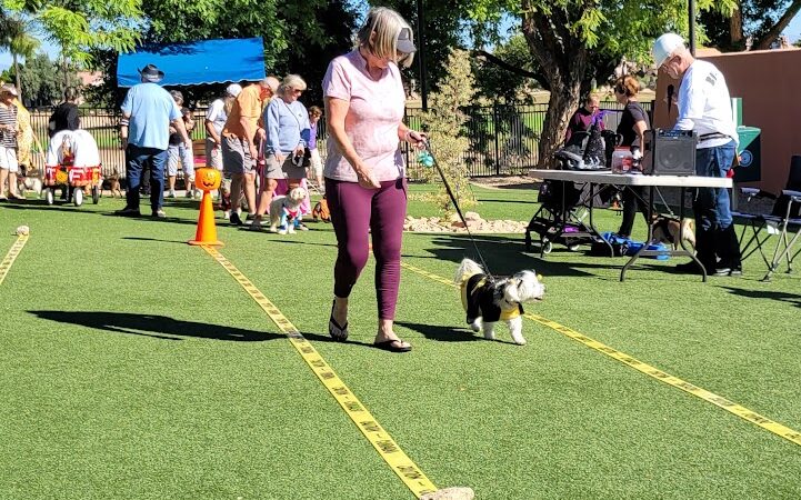 Large Dog Park-Members Only - Sun City West, AZ