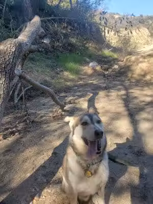 La Tuna Trailhead - Sun Valley, CA