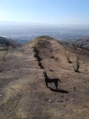 Verdugo Mountain Park - Sun Valley, CA