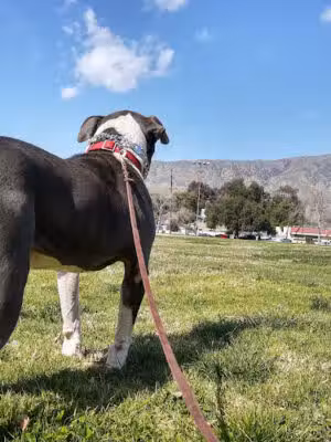 Sunland Recreation Center - Sunland, CA