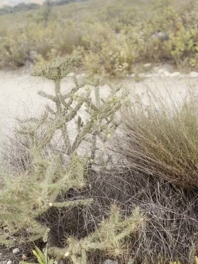 Oro Vista Park - Sunland, CA