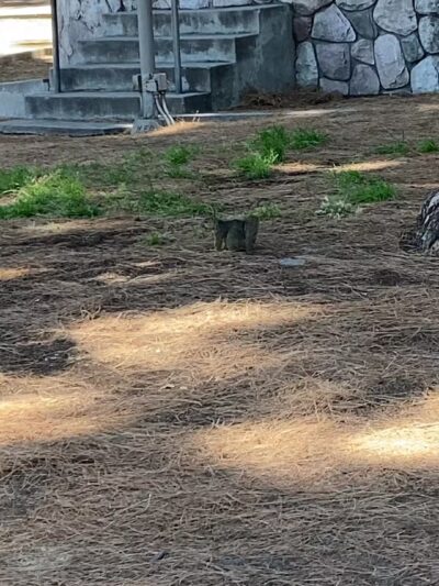 Sunland Recreation Center - Sunland, CA