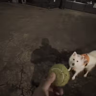 Torsney Dog Run - Sunnyside, NY