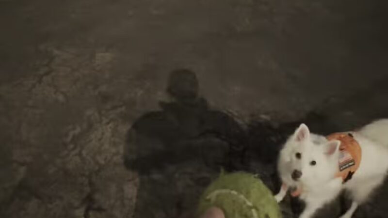 Torsney Dog Run - Sunnyside, NY