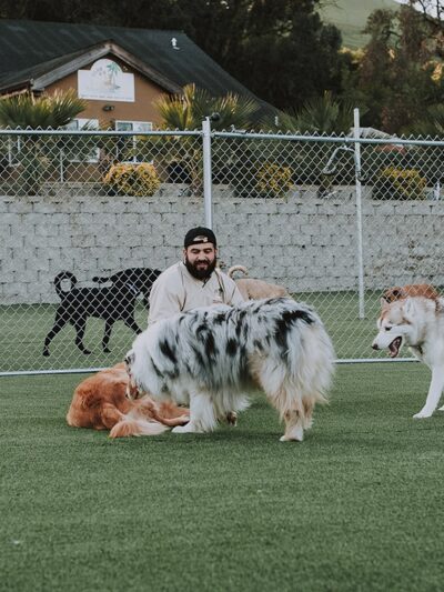 Club K9 Fremont-Sunol - Sunol, CA