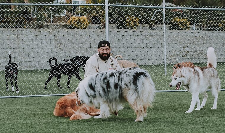 Club K9 Fremont-Sunol - Sunol, CA