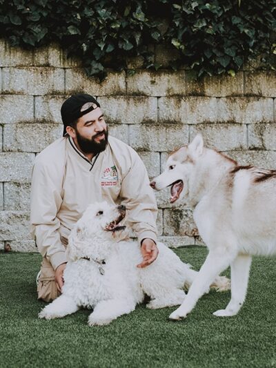 Club K9 Fremont-Sunol - Sunol, CA