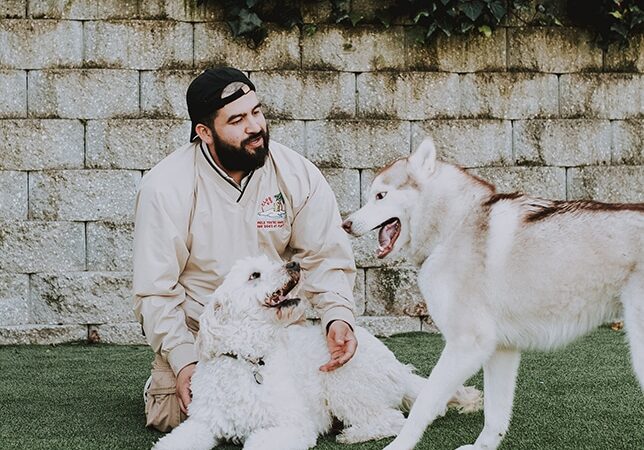 Club K9 Fremont-Sunol - Sunol, CA