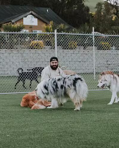 Club K9 Fremont-Sunol - Sunol, CA
