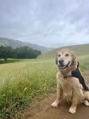 Canyon View Trailhead - Sunol, CA