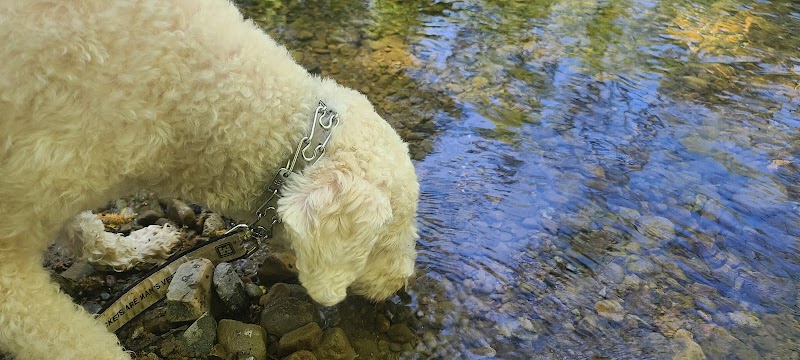 Canyon View Trailhead - Sunol, CA
