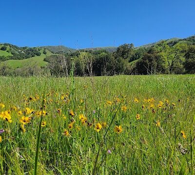 Canyon View Trailhead - Sunol, CA