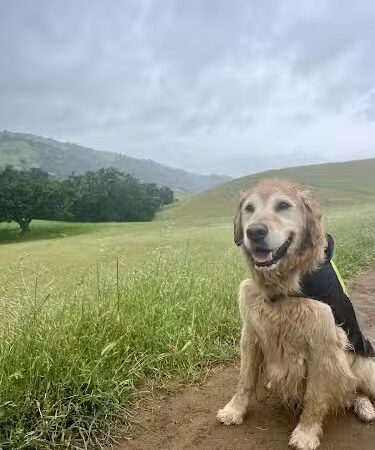 Canyon View Trailhead - Sunol, CA