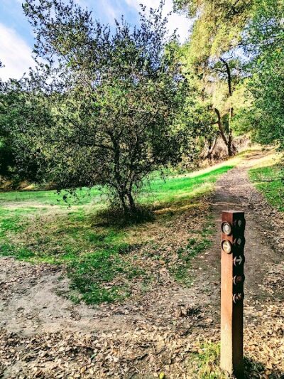 Flag Hill Trail - Sunol, CA