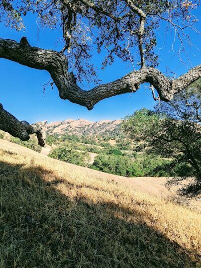 Flag Hill Trail - Sunol, CA