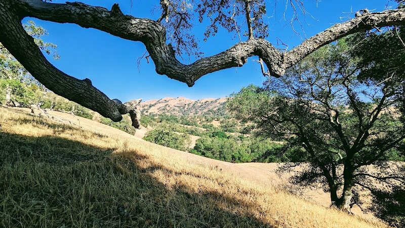 Flag Hill Trail - Sunol, CA