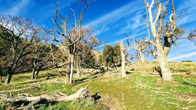 Flag Hill Trail - Sunol, CA