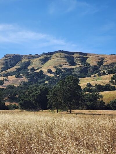 Flag Hill Trail - Sunol, CA