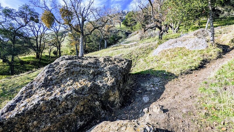 Flag Hill Trail - Sunol, CA