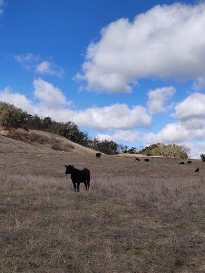Foothill Staging Area - Sunol, CA