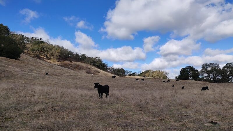 Foothill Staging Area - Sunol, CA