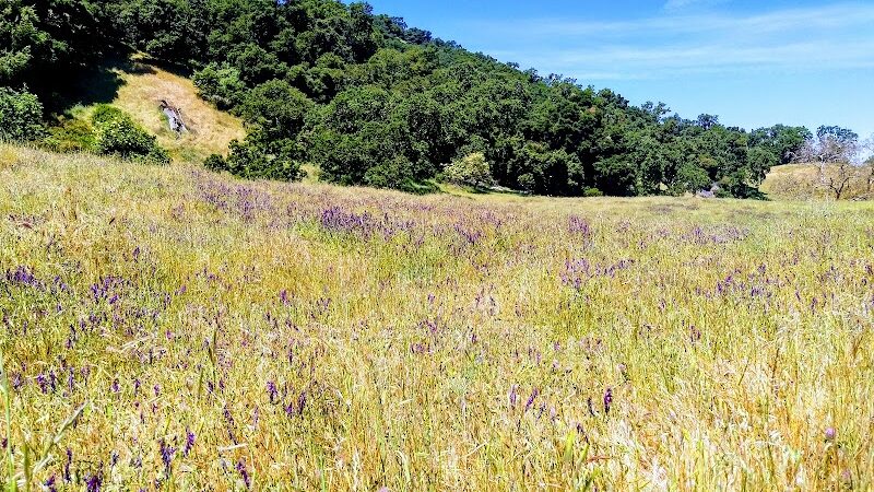 Foothill Staging Area - Sunol, CA
