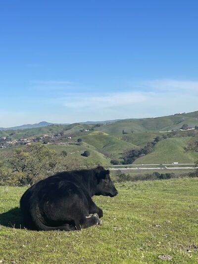 Foothill Staging Area - Sunol, CA