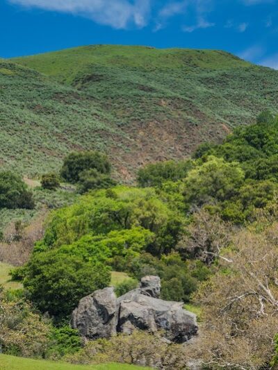 Sunol Regional Wilderness - Sunol, CA