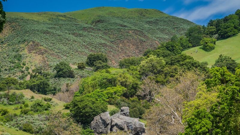 Sunol Regional Wilderness - Sunol, CA