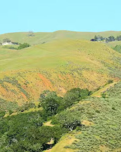 Sunol Regional Wilderness - Sunol, CA