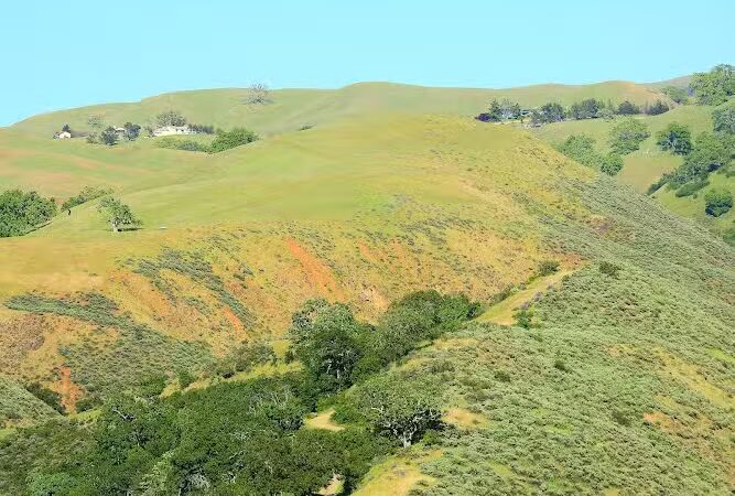 Sunol Regional Wilderness - Sunol, CA