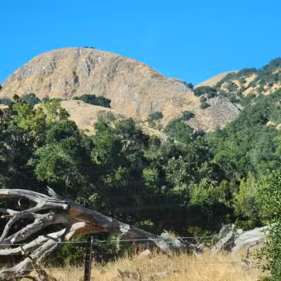 Sunol Regional Wilderness - Sunol, CA
