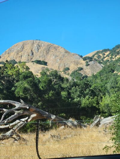 Sunol Regional Wilderness - Sunol, CA