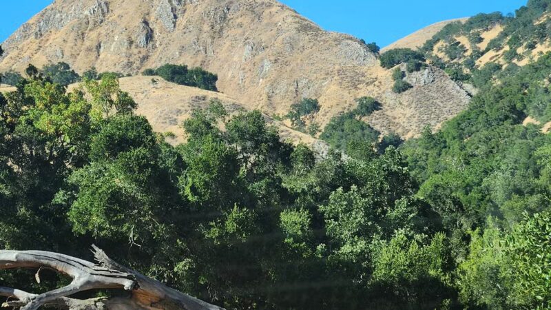 Sunol Regional Wilderness - Sunol, CA