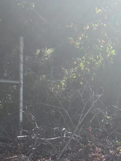 Sunol Regional Wilderness - Sunol, CA