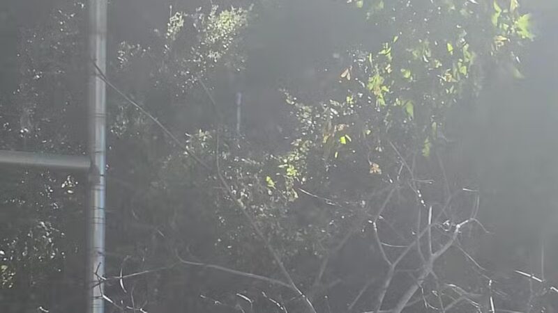 Sunol Regional Wilderness - Sunol, CA