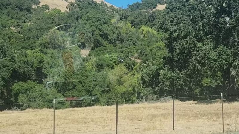 Sunol Regional Wilderness - Sunol, CA