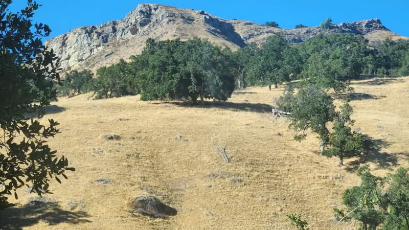 Sunol Regional Wilderness - Sunol, CA