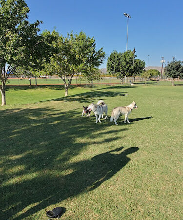 Dog Park - Surprise, AZ