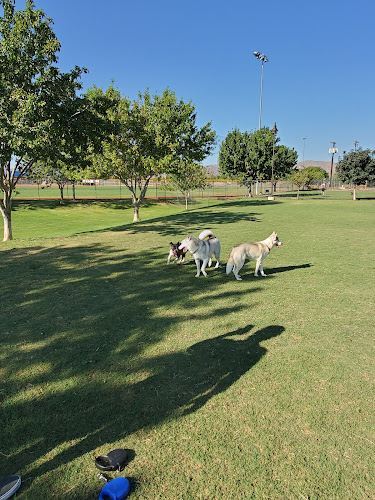 Dog Park - Surprise, AZ