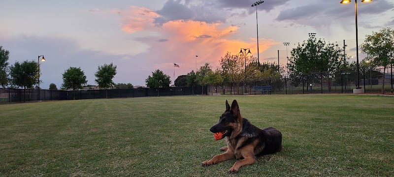 Dog Park