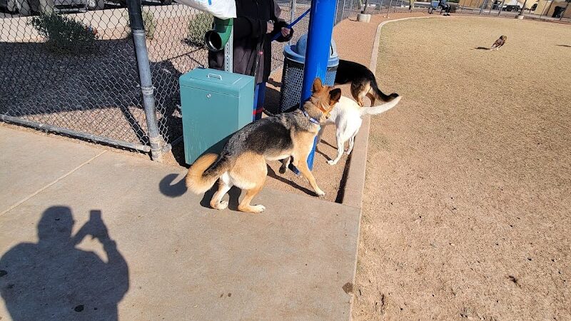 Dog Park - Surprise, AZ