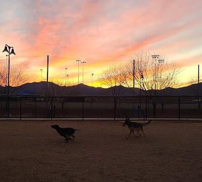 Dog Park