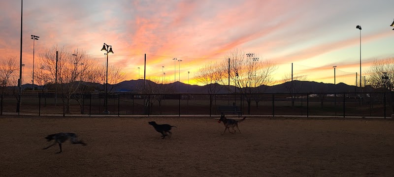 Dog Park