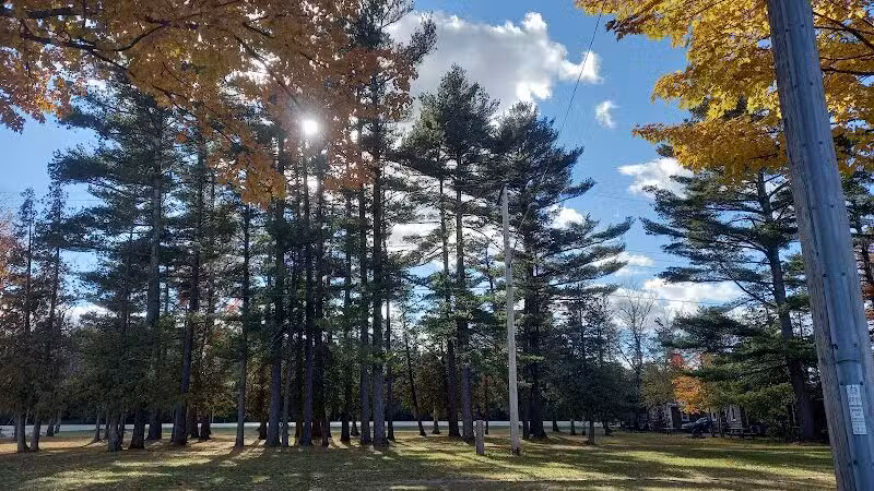 Sutton Park - Suttons Bay,