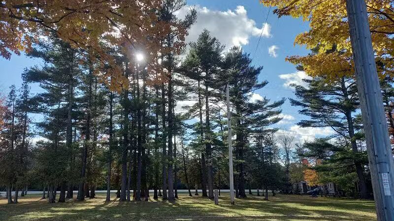 Sutton Park - Suttons Bay,