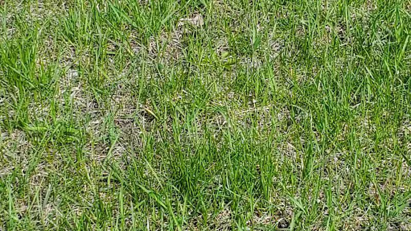 Sutton Park - Suttons Bay,