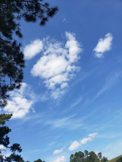 Harmon park - Swainsboro, GA