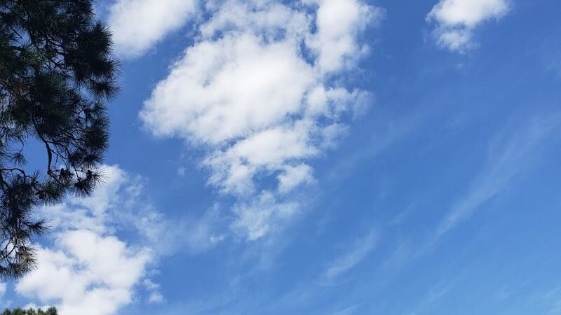 Harmon park - Swainsboro, GA